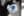 DSCF0398